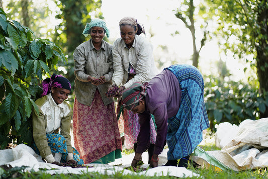 workers at vaishnavi estate