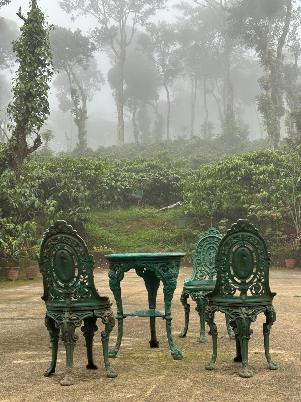 Scenic view of Vaishnavi Estate Coorg offering coffee estate stay experience in Karnataka