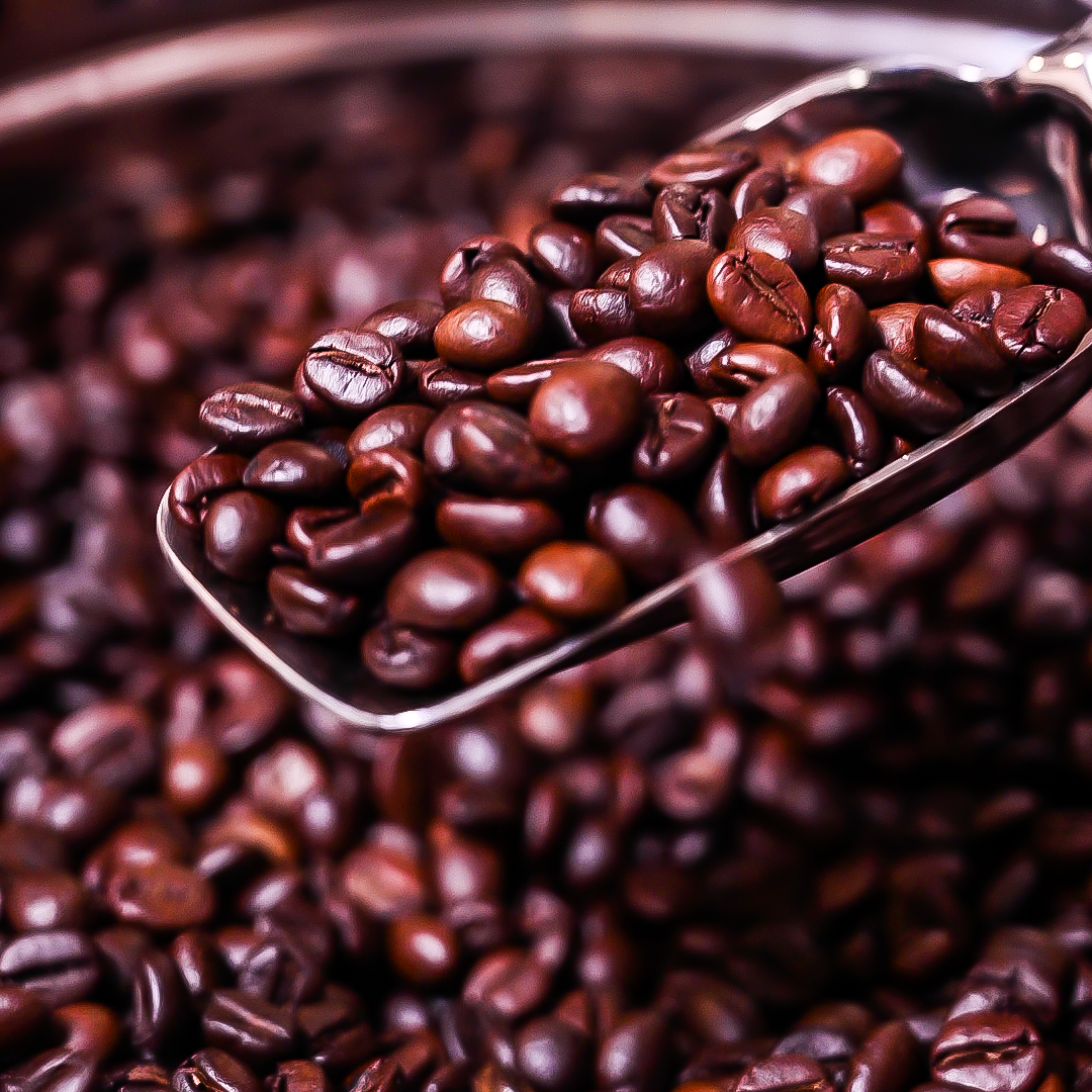 Vaishnavi Estate Dark roasted Coffee beans on a metal scoop with a blurred background