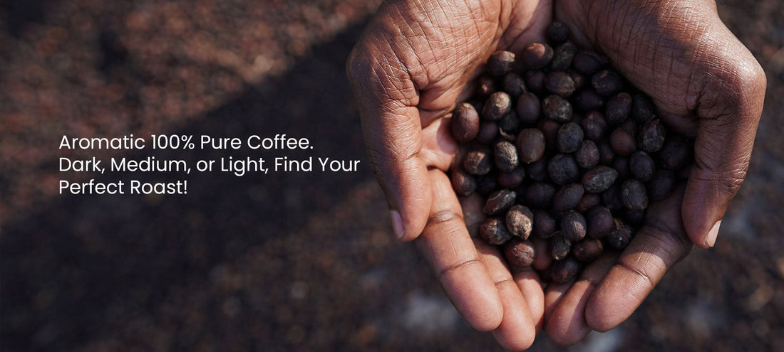 Conserving Coorg: How Sustainable Coffee Farming Protects Our Ecosystem