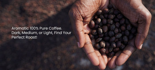 Conserving Coorg: How Sustainable Coffee Farming Protects Our Ecosystem