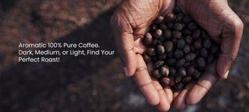 Conserving Coorg: How Sustainable Coffee Farming Protects Our Ecosystem Vaishnavi Estate