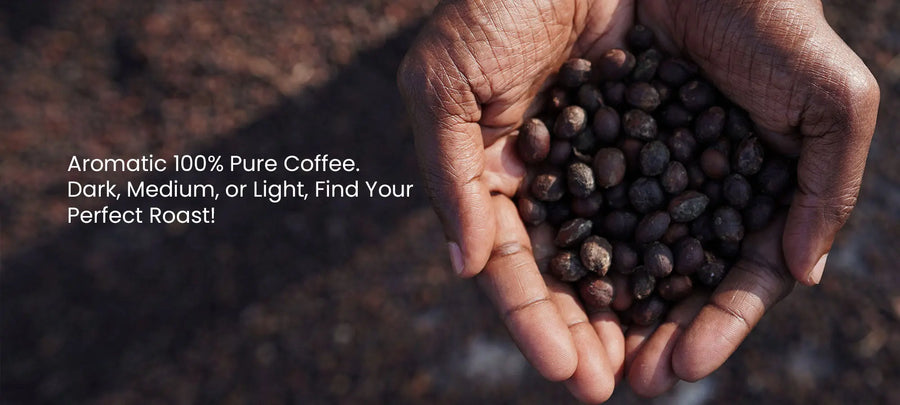 Conserving Coorg: How Sustainable Coffee Farming Protects Our Ecosystem