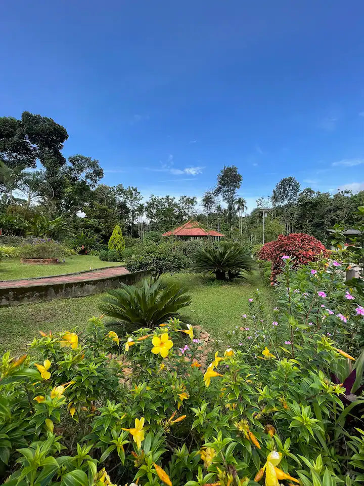 Conserving Coorg